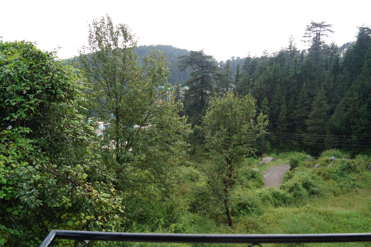 Hotel Shivalay Dharamshala Bagian luar foto